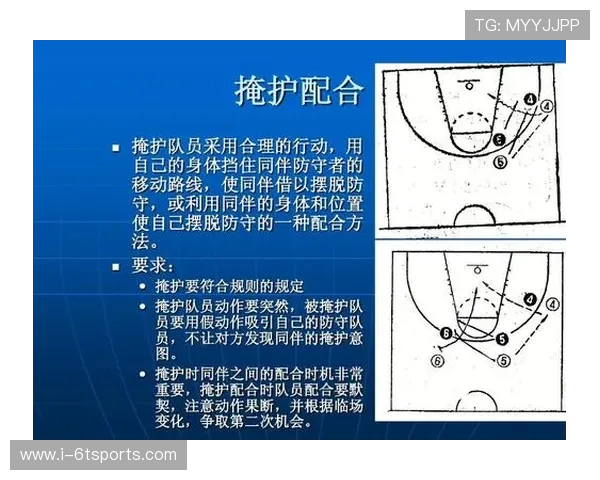 广州篮球队的转换之道：深度解析战术与球员的完美结合