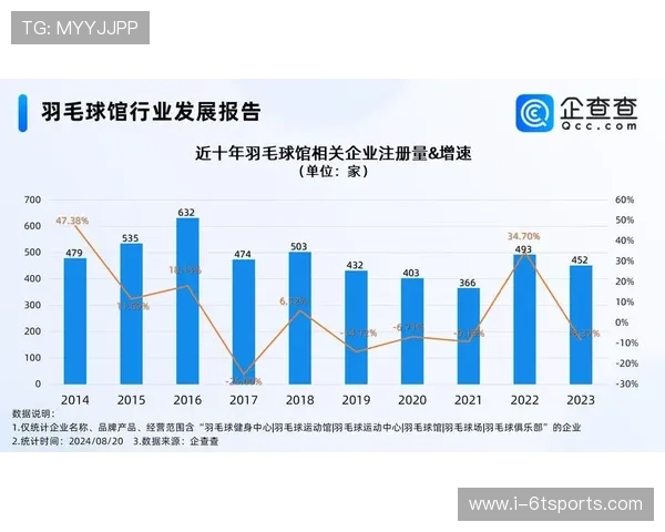 深圳羽毛球队状态对比深度解析及未来发展趋势探讨